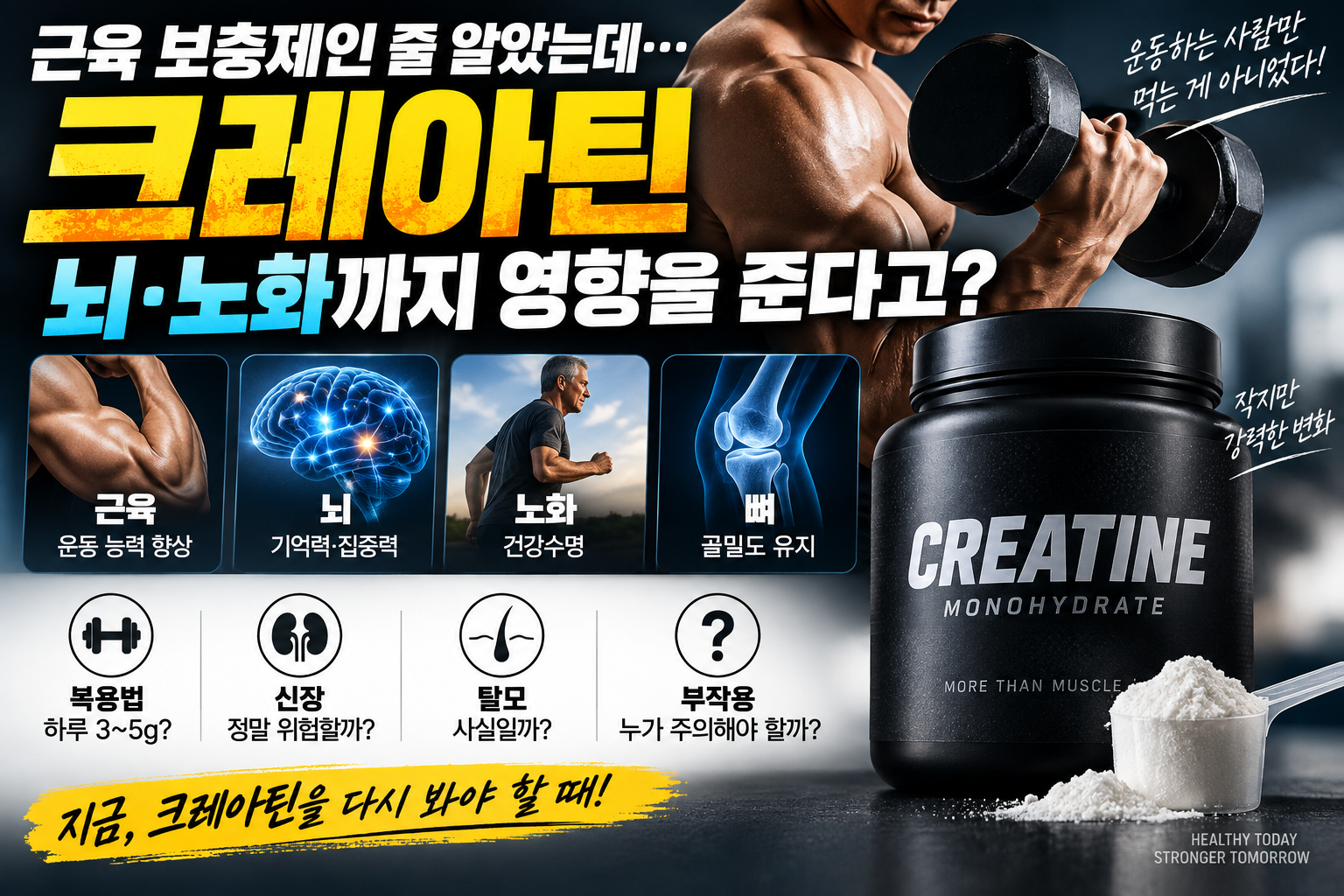 크레아틴, 근육 보충제인 줄 알았는데… 뇌·노화까지 영향을 준다고?
